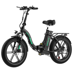 750W High-end version Folding E-Bike BK6S 4.0
