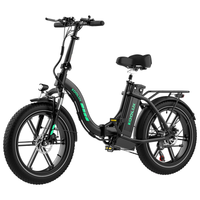 750W High-end version Folding E-Bike BK6S 4.0