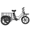 Hitway ELEKGO 03 Cargo E-Bike 48V 18Ah EGO 03 Electric Cargo Tricycle