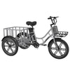 Hitway ELEKGO 03 Cargo E-Bike 48V 18Ah EGO 03 Electric Cargo Tricycle